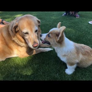 Meet your Posher, Jessica